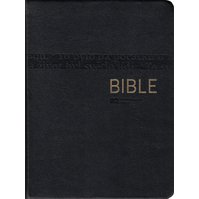 Bible ČEP DT, velký formát, luxus 1262