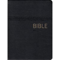 Bible ČEP DT, střední formát, luxus 1273