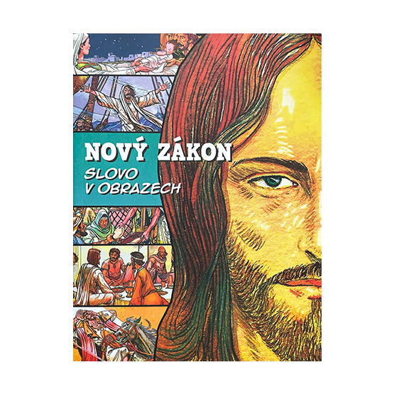 Obrázek