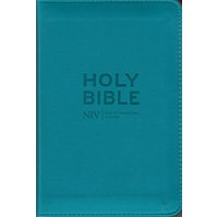 Holy Bible - NIV  3119