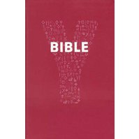 Y-Bible (YOUCAT)