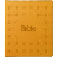 Bible, překlad 21. století, ilumina  B0045